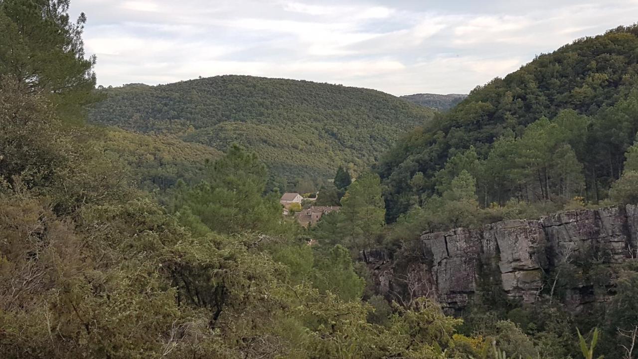 Le Clos Du Cedre Saint Sebastien d'Aigrefeuille Exteriör bild