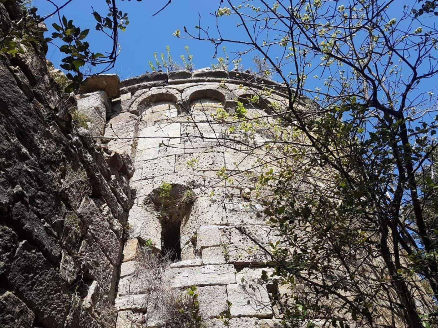 Le Clos Du Cedre Saint Sebastien d'Aigrefeuille Exteriör bild