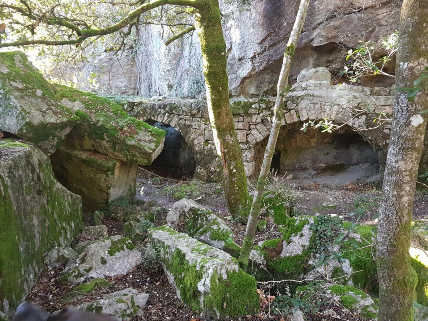Le Clos Du Cedre Saint Sebastien d'Aigrefeuille Exteriör bild